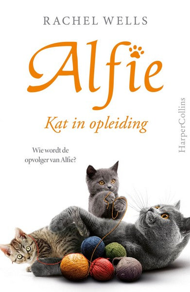 Kat in opleiding